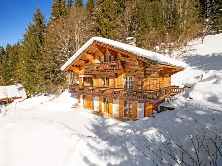 Chalet LA MARTRE DES PINS