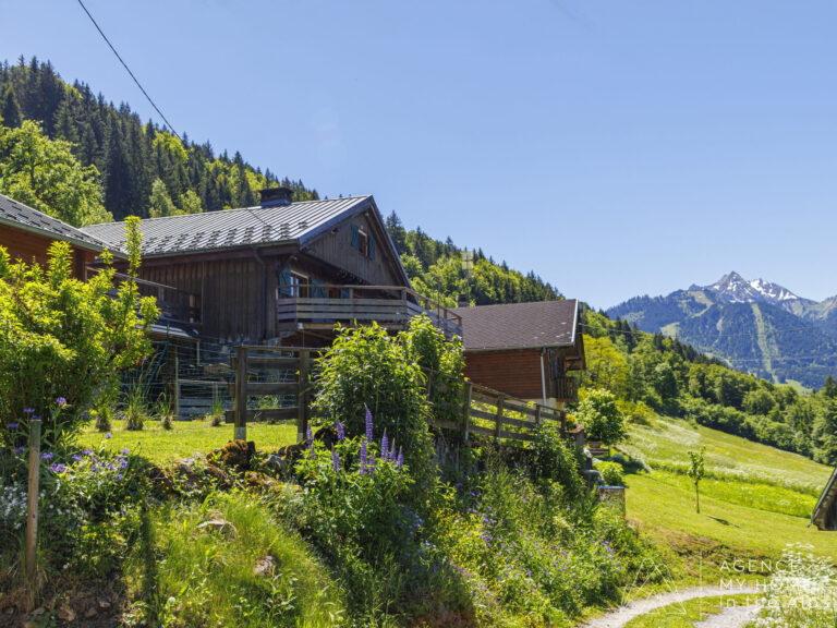 Chalet Bellecombe