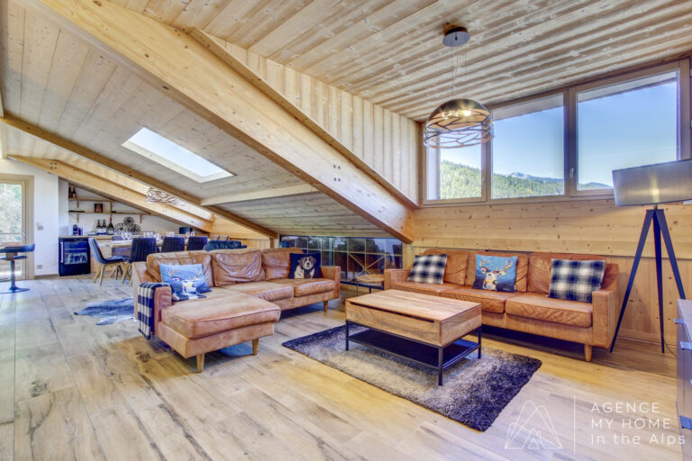 Exceptional Penthouse Overlooking the Pleney